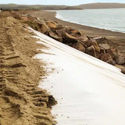 Physical and Mechanical Characteristics