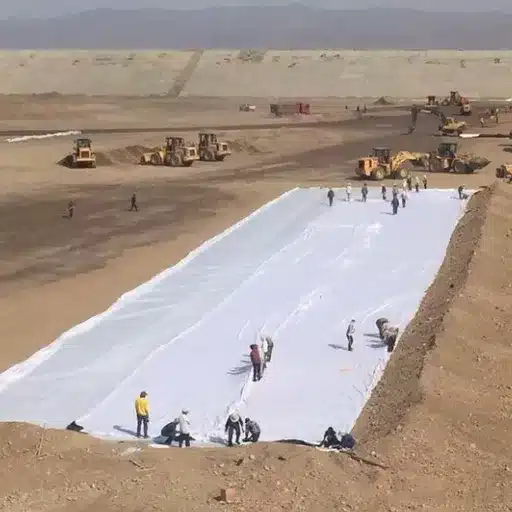 Primary Applications and Use Cases