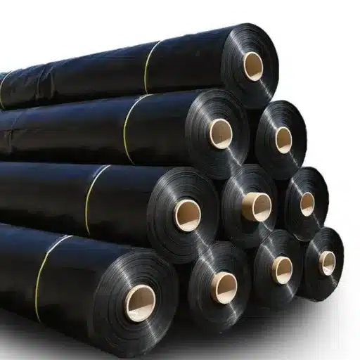 Quality Standards and Certification