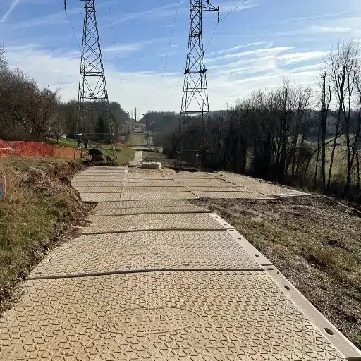 Global Supply and Export Considerations