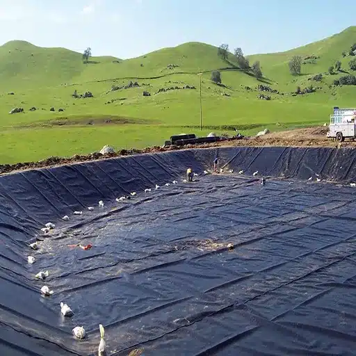 HDPE vs LLDPE Geomembrane_ What Is the Core Difference_