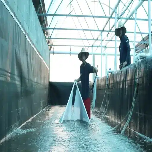 HDPE vs. Alternative Geomembrane Materials