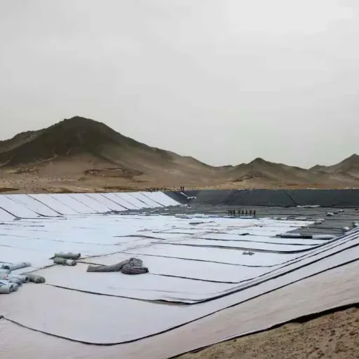 Quality Assurance and Supplier Selection