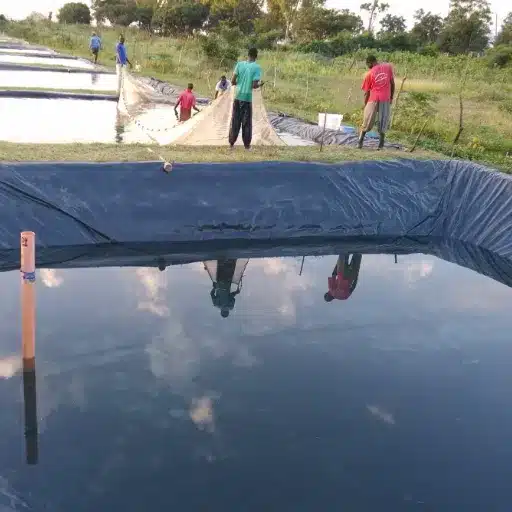 Why HDPE Geomembrane Is the Default for Pond Lining