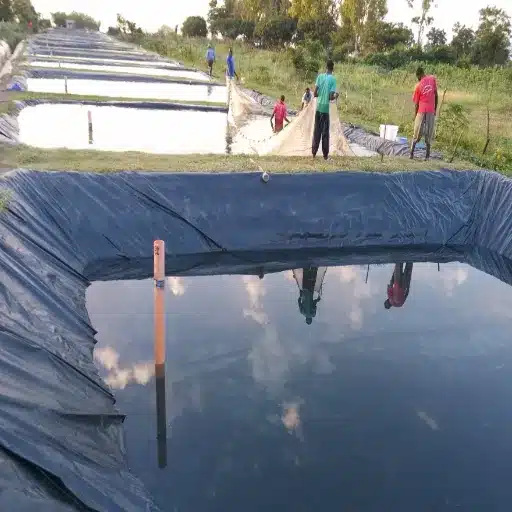 Geomembrane Pond Liner Materials Compared