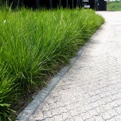 Geogrid for Gravel Driveways_ Does It Work_