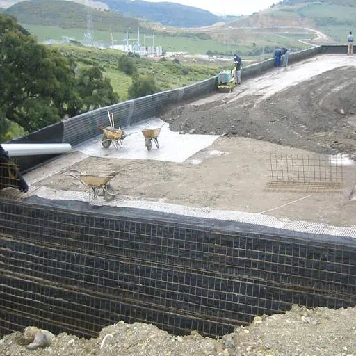 Specifying Geogrid for Seismic Projects